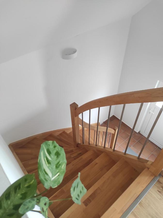 Ferienwohnung Im Distelweg Scheid  Ngoại thất bức ảnh